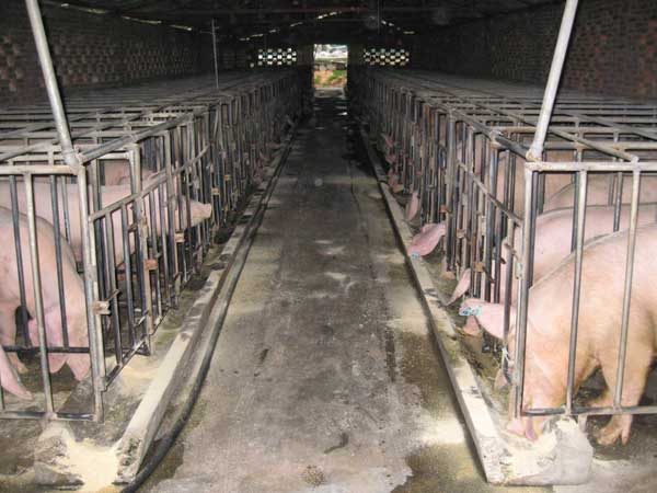 對射式光電傳感器用于監控